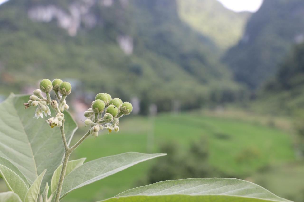 Khuoi Ky Eco Homestay Cao Bang Exterior foto